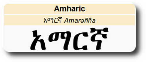 Amharic Translation & Localization Services